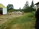 ramping my bike 2