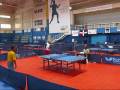ping pong dominicano