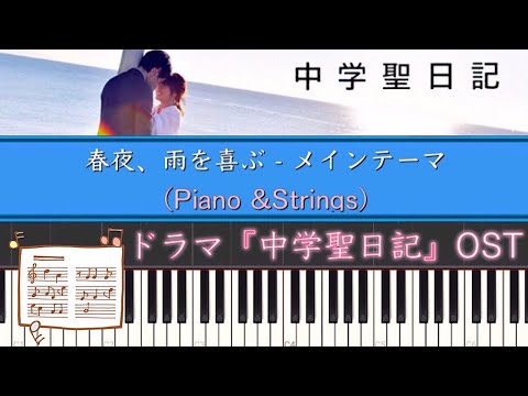 動画