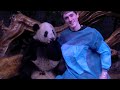 UKOGmonkey hugs a panda!!!