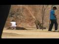 Tiger Temple/ Visitor Safety Risks- 6