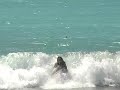 CANNA VS DROPPY - 2004 CANNA VS DROPPY - 2004