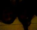 victor y yo