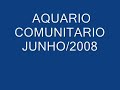 filme do aquario no mes de junho de 2008 depois da poda das plantas e limpeza geral. 