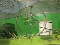 Rolling Ball Sculpture, \"Flight of the Bubble Bee\" Rolling Ball Sculpture, \"Flight of the Bubble Bee\"
