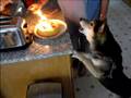 Yoshi Vs. Birthday Cake