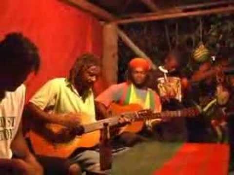 Radical Roots de Providencia :: Radical Roots