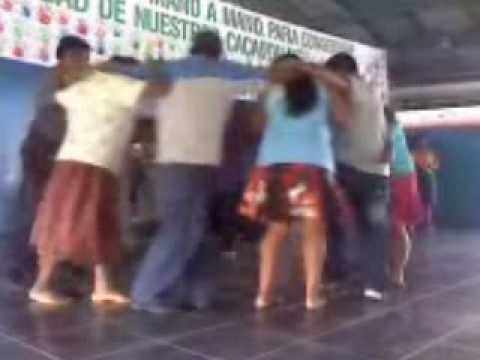 VIDEOS MUSICALES EN WMV videos musicales en wmv: