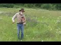 Old Time Fiddle - St. Anne\