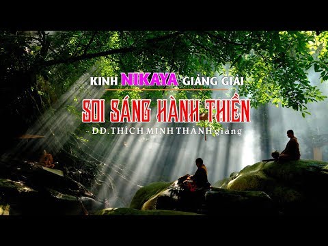 Kinh NIKAYA Giảng Giải - Soi Sáng Hành Thiền