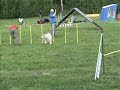 AK & Ebba Avesta Agility 1, 26/5-2007 AK & Ebba Avesta Agility 1, 26/5-2007