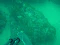 borriquete_2kg.avi pescasub.net borriquete_2kg.avi pescasub.net