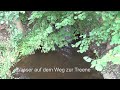 Oeversee und Sankelmark in 2D: Geschichte, Sehenswürdigkeiten, Rundgang (SH-Podcast.de)