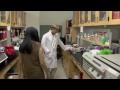 Act Now: Tell Congress to Stop Further Cuts to Research Funding
