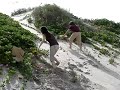 xc