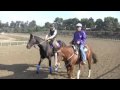 Zenyatta Post Race