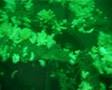Diving on Trysfjord