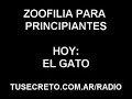 Zoofilia Para Principiantes - El Gato