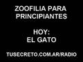 Zoofilia-Para-Princi