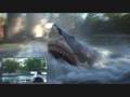 Amity Boat Tours