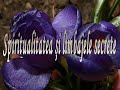 Octavian Sarbatoare IUBIRE IN INDIA proza romantica