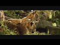 Two Brothers - Two Worlds