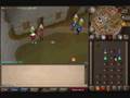Meele Jonny's First PVP Pure Video Teaser!