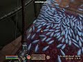 Oblivion CHEATS Oblivion CHEATS