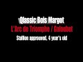Qlassic Bois Margot - Stallion by L\ Qlassic Bois Margot - Stallion by L\