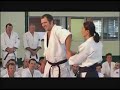 Aikido - Shihan Mori Sensei 7th Dan Yoshinkan 2008