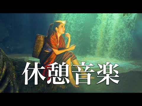 動画