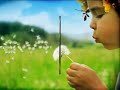 A Very Beautiful Poem In Voice of 