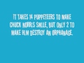 Chuck Norris Facts