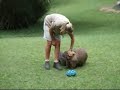 Wombat