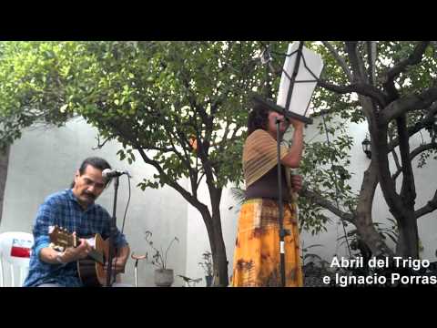sandyyvazquezz - Abril del Trigo cantando en una fiesta privada en el municipio de Calvillo en Aguascalientes. Abril del Trigo es como el soplo de la brisa, fresca y tibia a ...