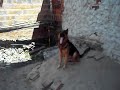 MAIKI
