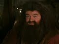 We're Brothers Forever (Dumbledore's New Favorite Song)