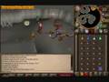 Dragon slaying with abyssal whip