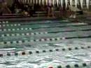 PSAL SWIMMING OPENS - Tech 50 Free SAM