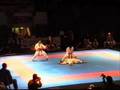 UNSU-KATA SHOTOKAN
