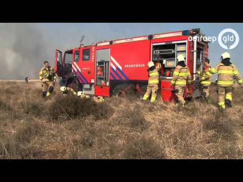 Grote heidebrand Nationale Park De Hoge Veluwe Hoenderloo