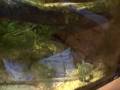 videos de Jul 29 2008 - VID00010