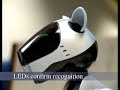 Aibo plays the 2-armed bandit