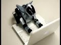 Aibo plays the 2-armed bandit