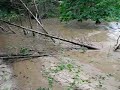 Dog Park Damaged Pt 2