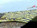 Fenerbahce klip biricik sevgilim