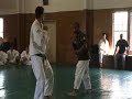 rorion gracie vs taekwondo black belt challenge