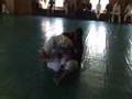 rorion gracie vs taekwondo black belt challenge