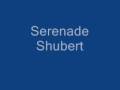 Serenade_ Shubert