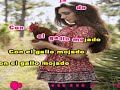 Aniceto Molina - El Gallo Mojado (karaoke)